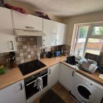 1 Speeds Pingle - NEW PRICE 